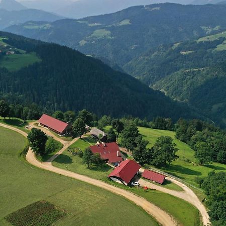 Farmstay&Glamping Visocnik Ljubno Extérieur photo