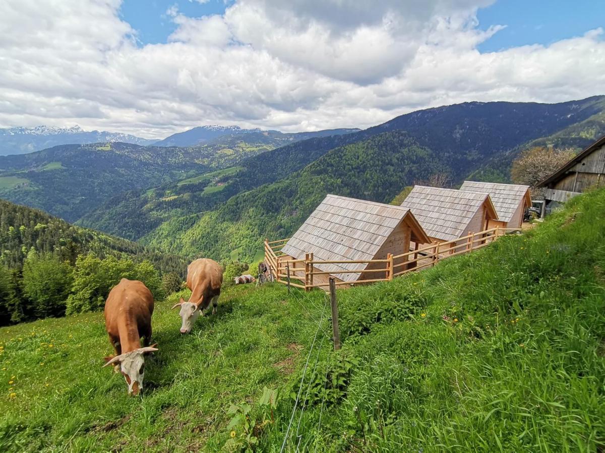 Farmstay&Glamping Visocnik Ljubno Extérieur photo