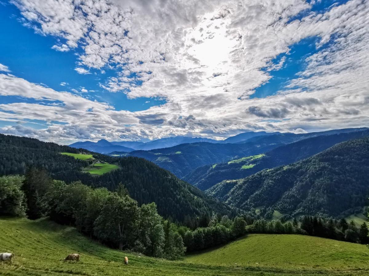 Farmstay&Glamping Visocnik Ljubno Extérieur photo