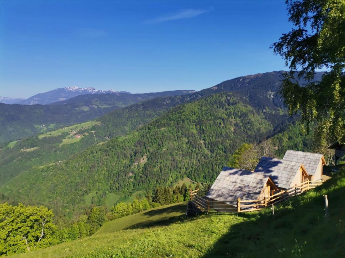 Farmstay&Glamping Visocnik Ljubno Extérieur photo