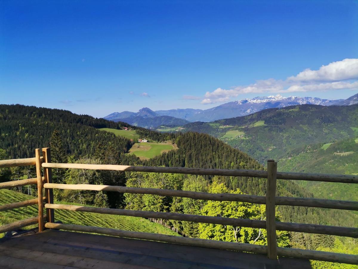 Farmstay&Glamping Visocnik Ljubno Extérieur photo