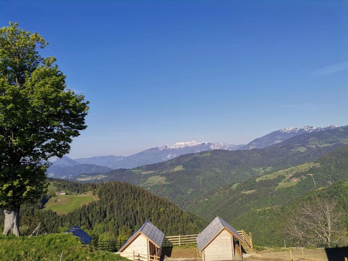 Farmstay&Glamping Visocnik Ljubno Extérieur photo