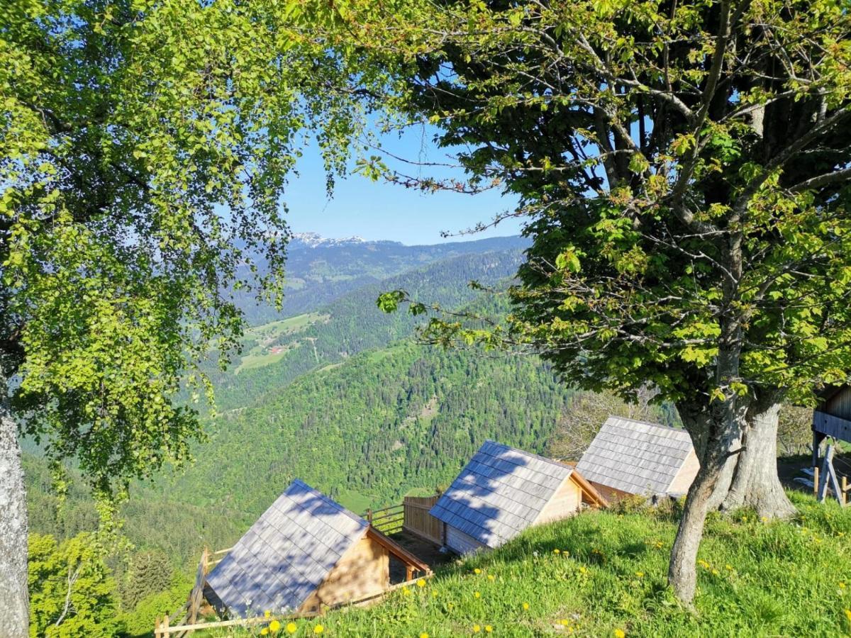 Farmstay&Glamping Visocnik Ljubno Extérieur photo
