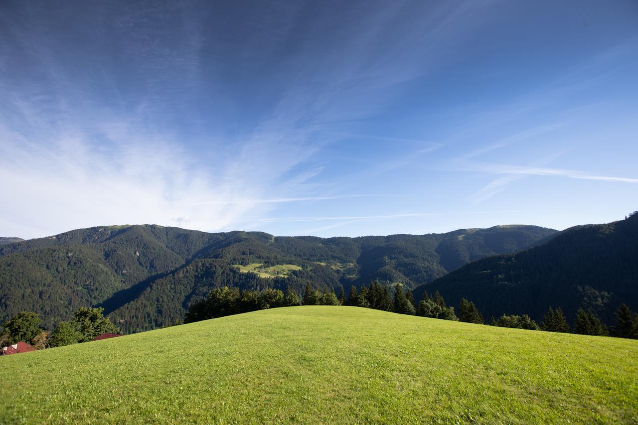 Farmstay&Glamping Visocnik Ljubno Extérieur photo