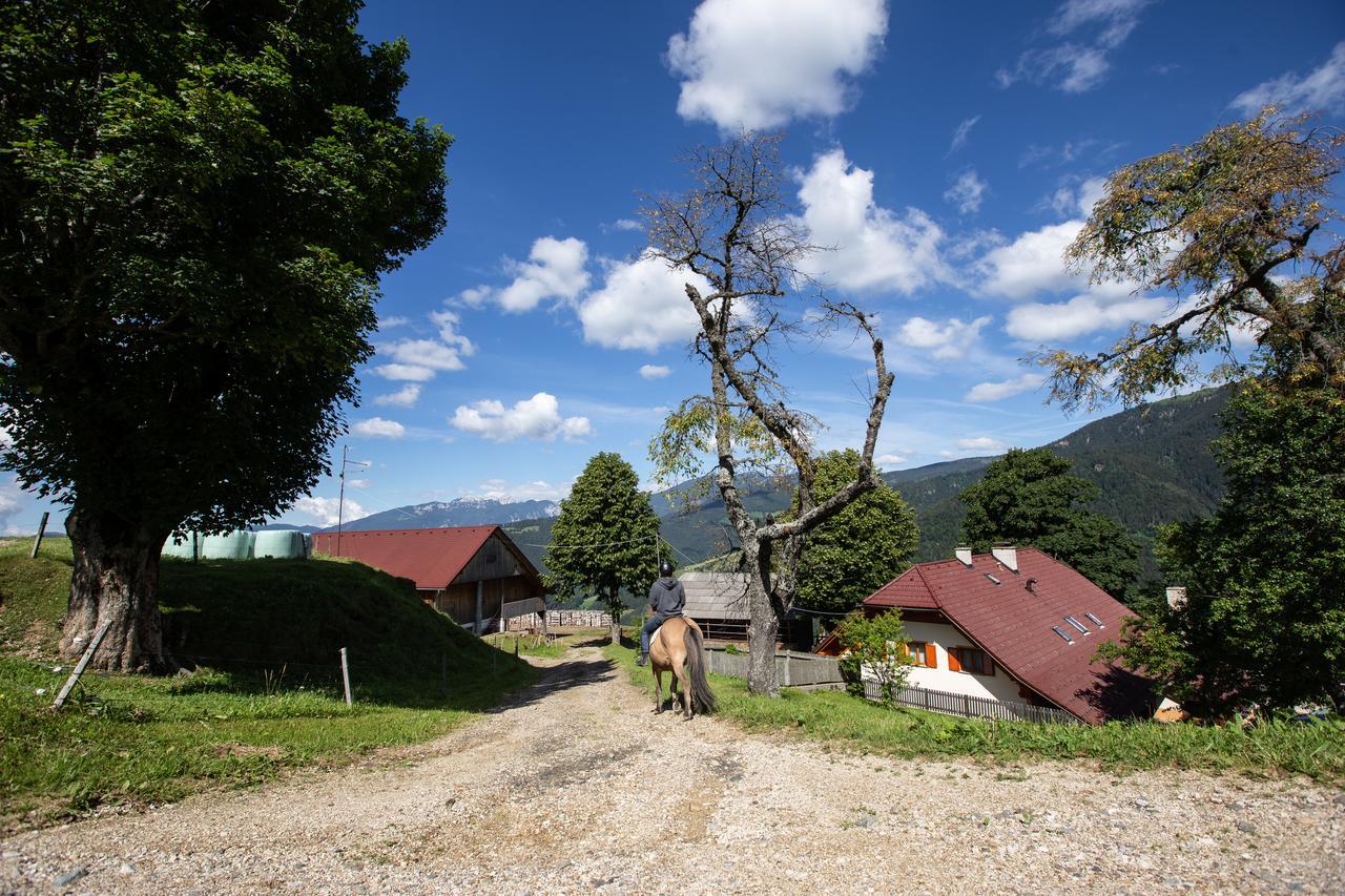Farmstay&Glamping Visocnik Ljubno Extérieur photo