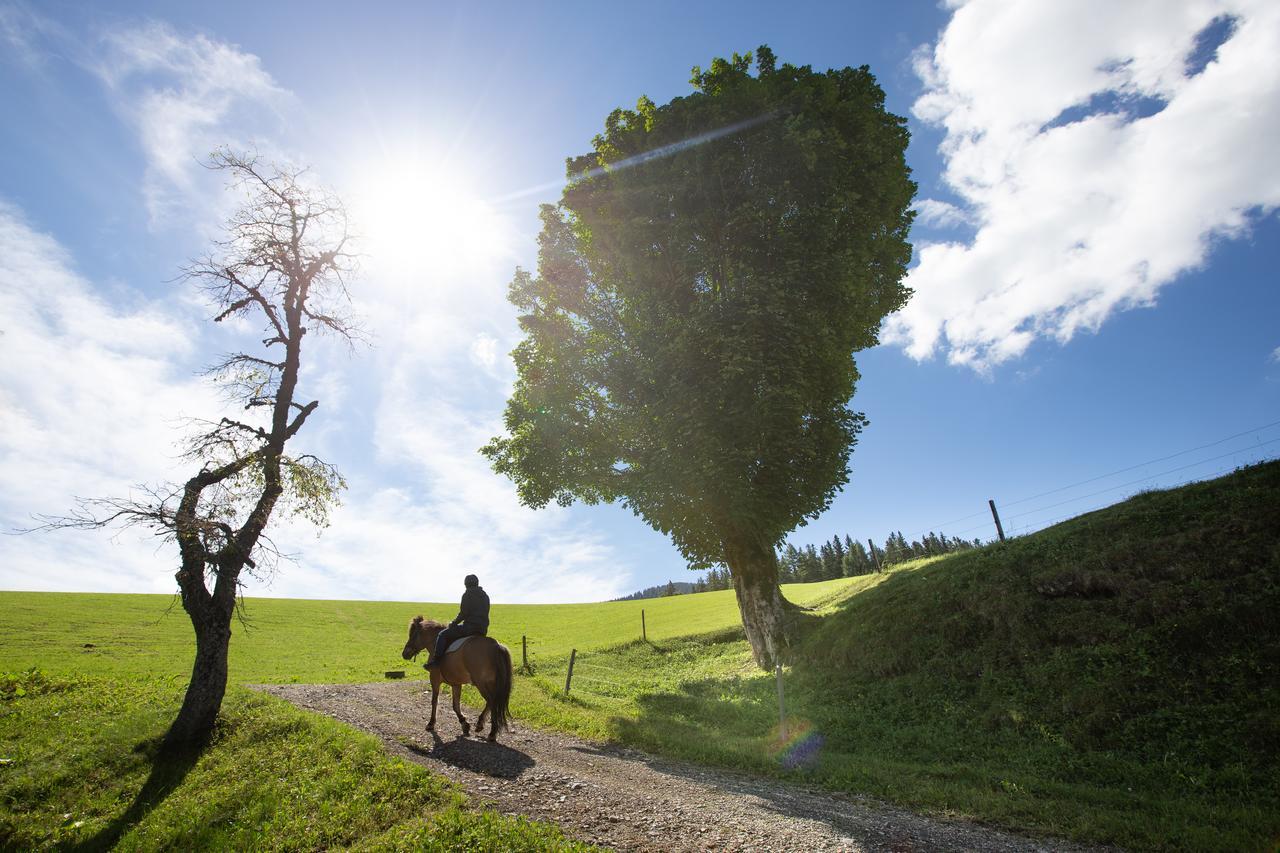 Farmstay&Glamping Visocnik Ljubno Extérieur photo
