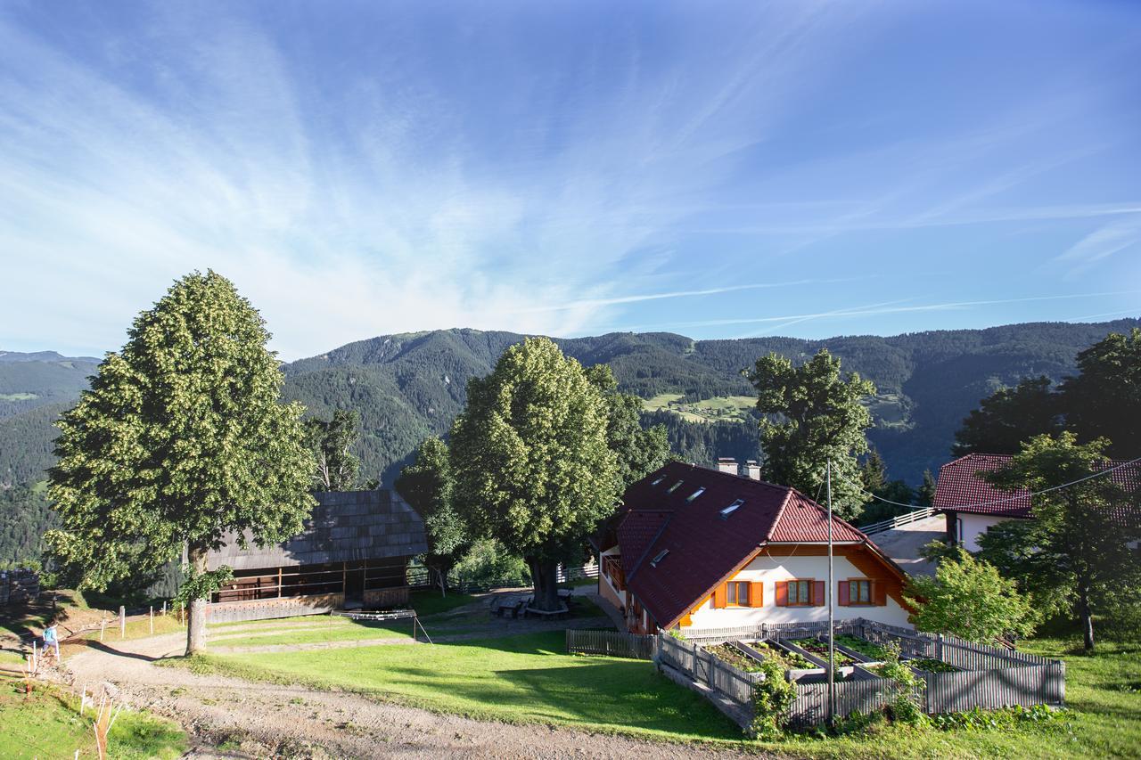 Farmstay&Glamping Visocnik Ljubno Extérieur photo
