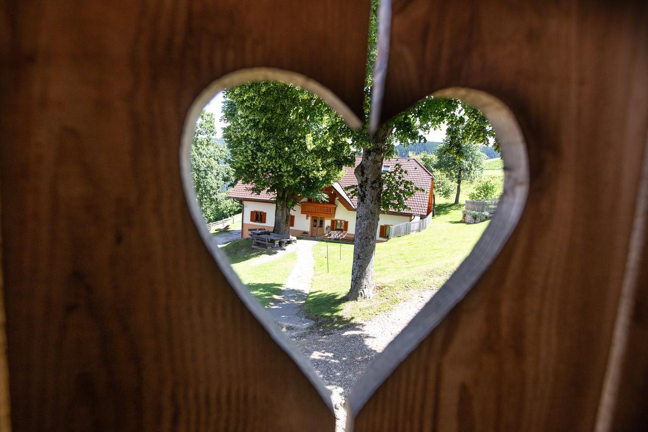 Farmstay&Glamping Visocnik Ljubno Extérieur photo