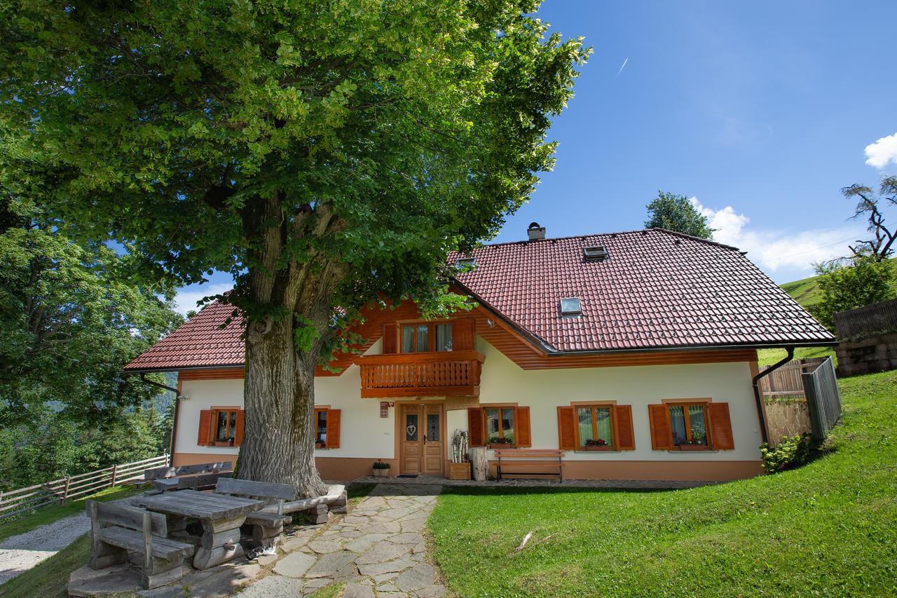 Farmstay&Glamping Visocnik Ljubno Extérieur photo