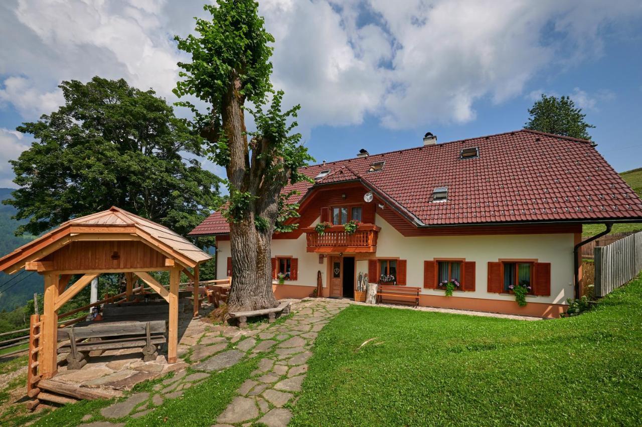 Farmstay&Glamping Visocnik Ljubno Extérieur photo