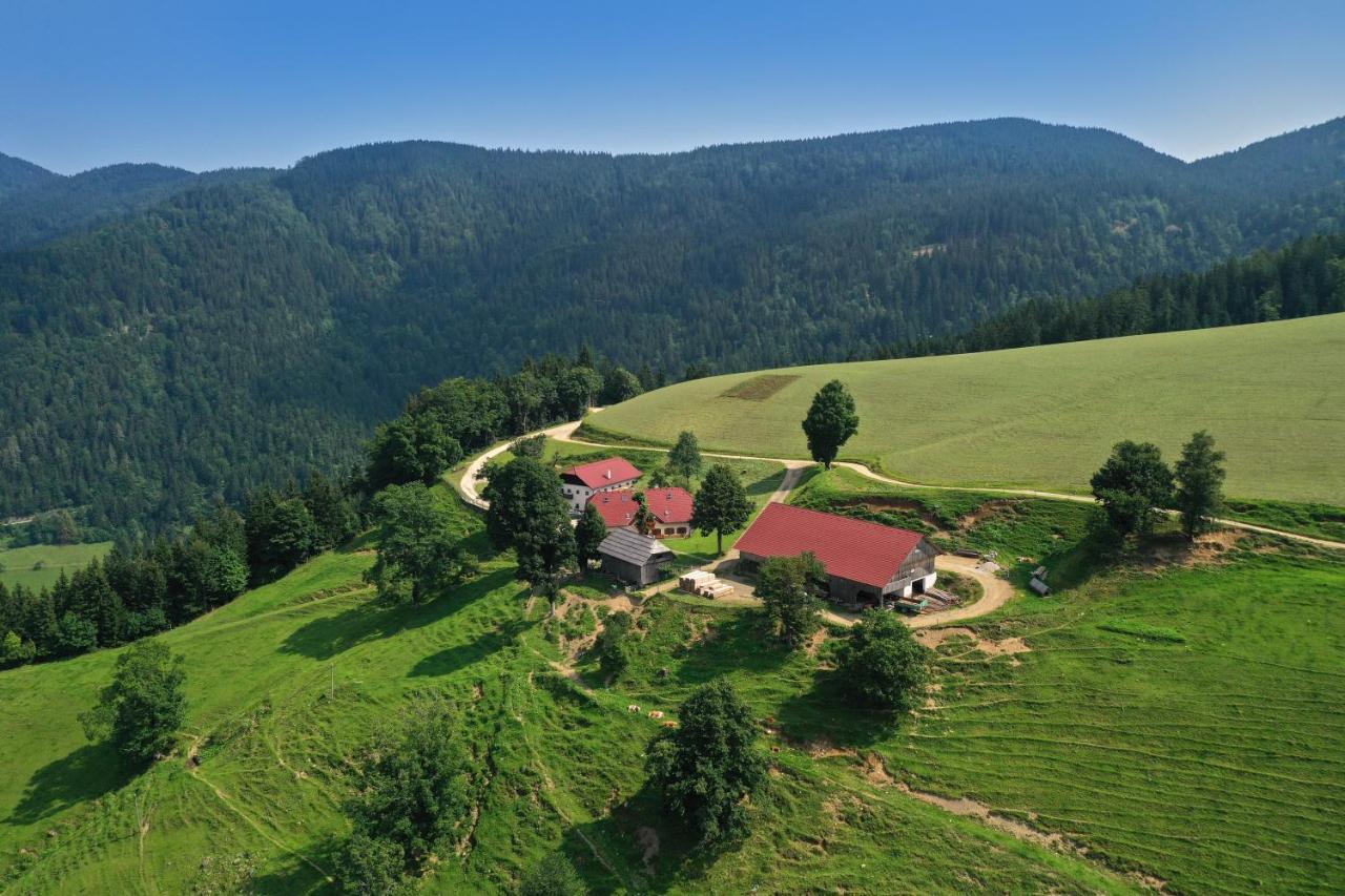 Farmstay&Glamping Visocnik Ljubno Extérieur photo
