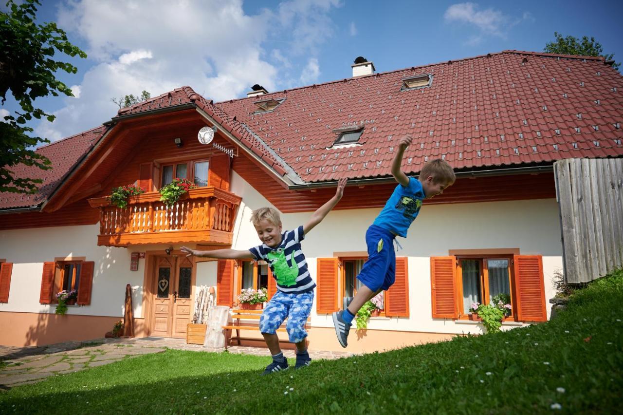 Farmstay&Glamping Visocnik Ljubno Extérieur photo