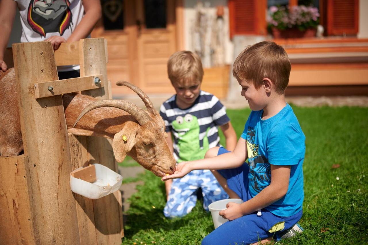Farmstay&Glamping Visocnik Ljubno Extérieur photo